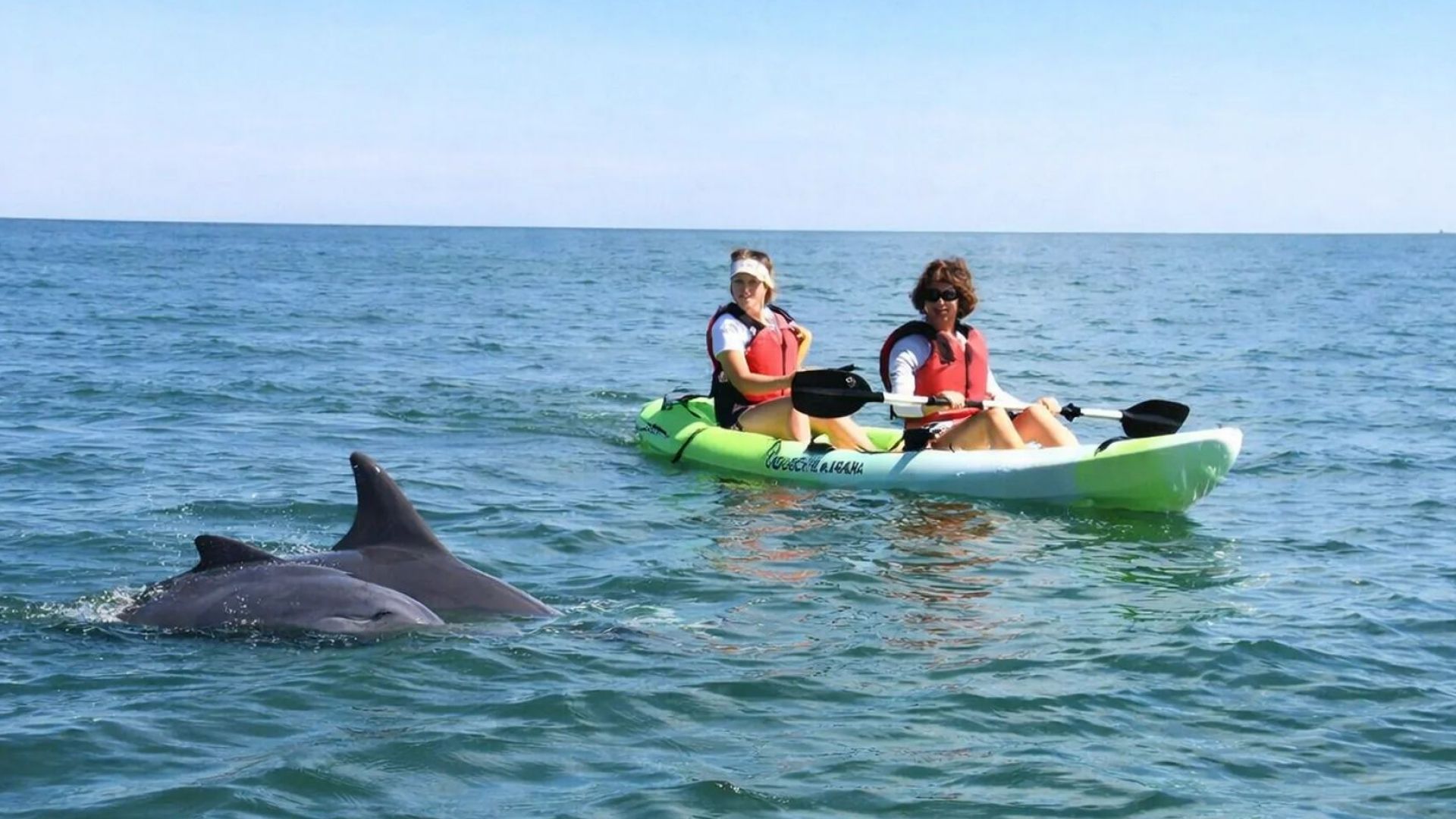 Lido Key - Guided Mangrove Tunnel Eco Kayak Tour