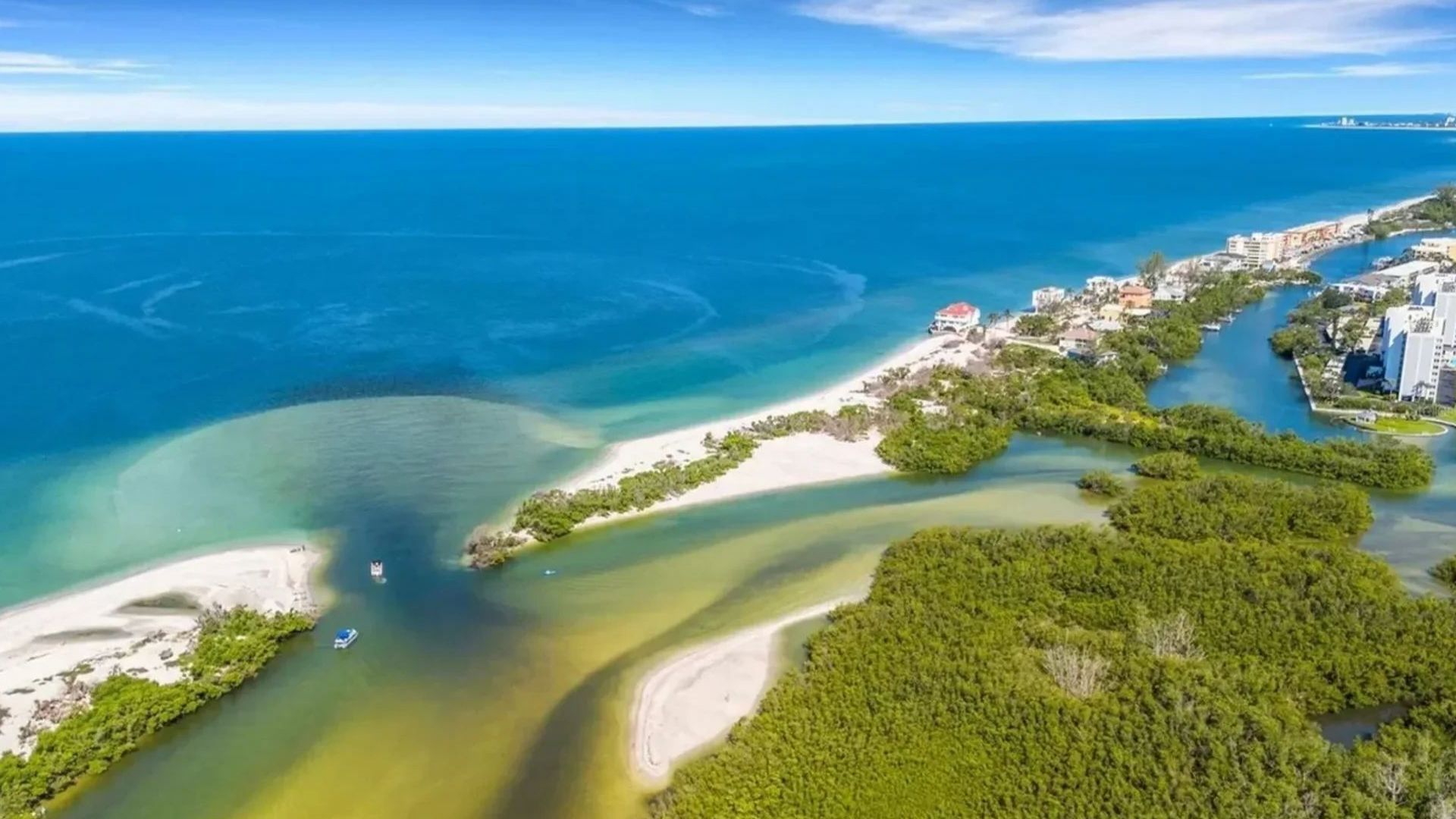 Siesta Key - Popular Mangrove and Hidden Beach Kayak Tour