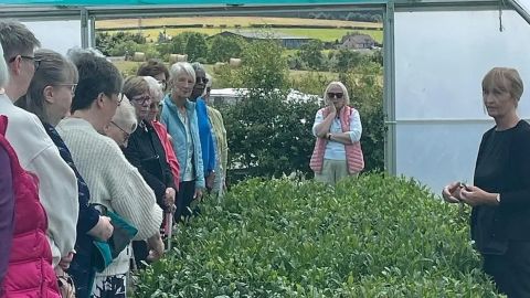 Scottish Tea House - Tea Tour