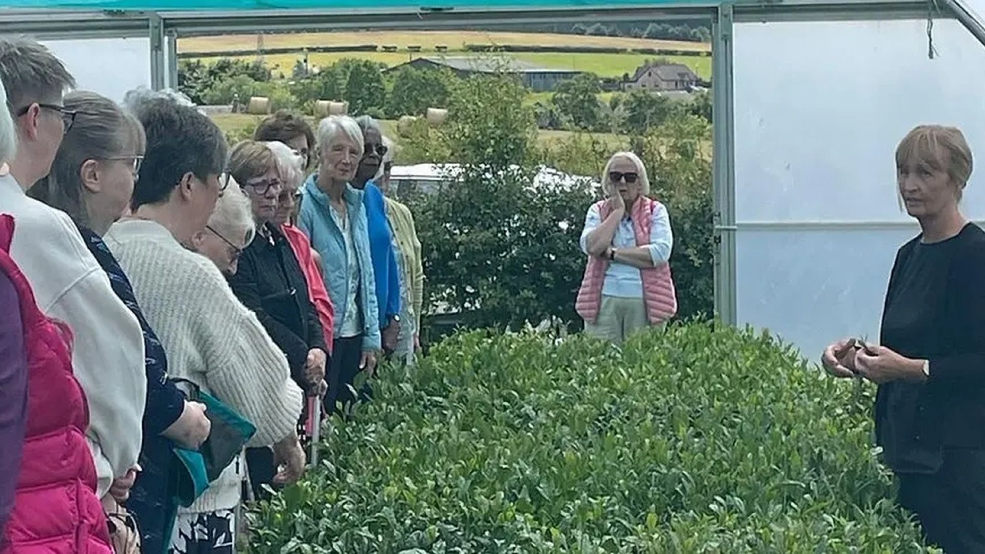 Scottish Tea House - Tea Tour