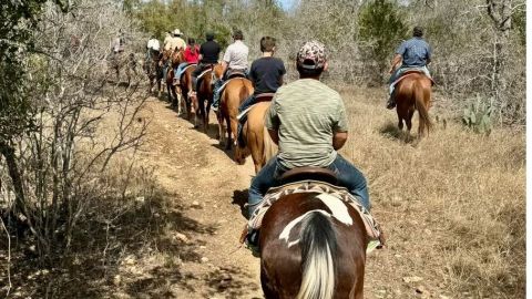 Horseback Rides