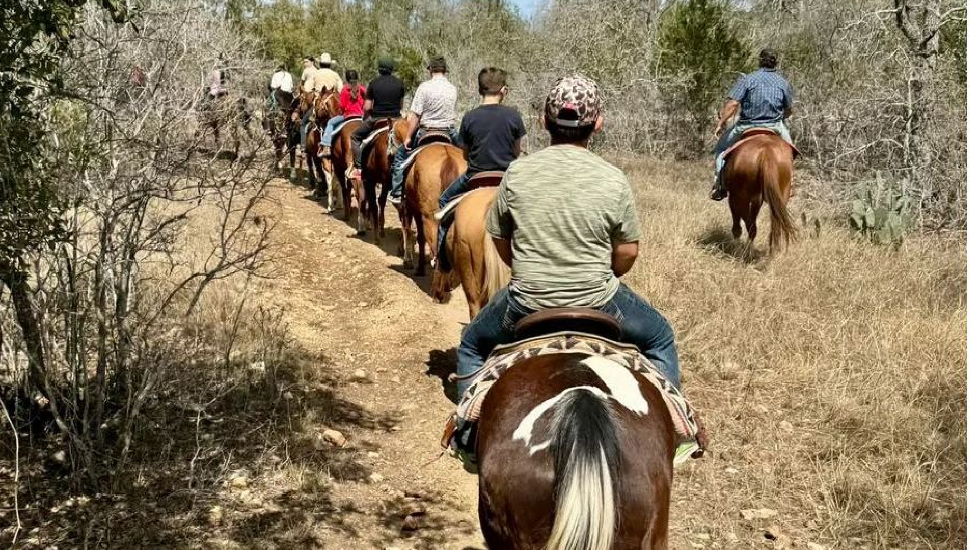 Horseback Rides