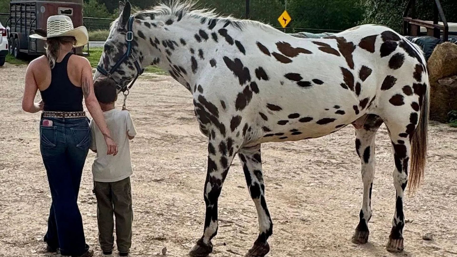 Horseback Rides