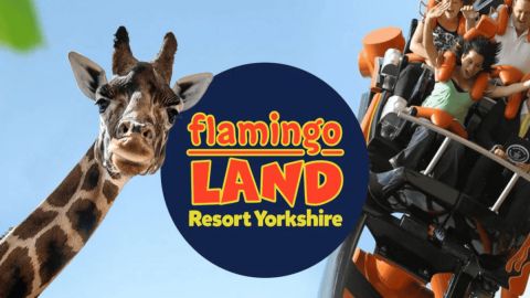Flamingo Land