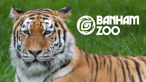 Banham Zoo - Norfolk