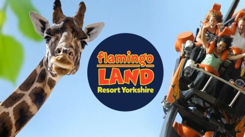 Flamingo Land - Save 50% on Day Passes