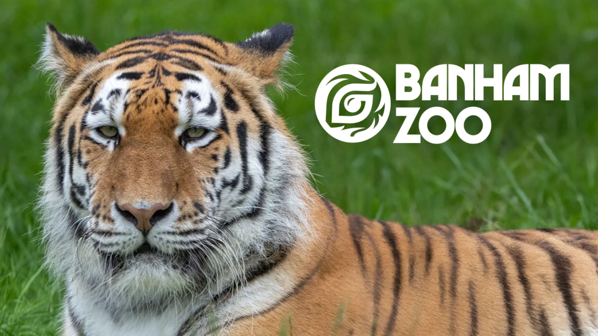 Banham Zoo Norfolk