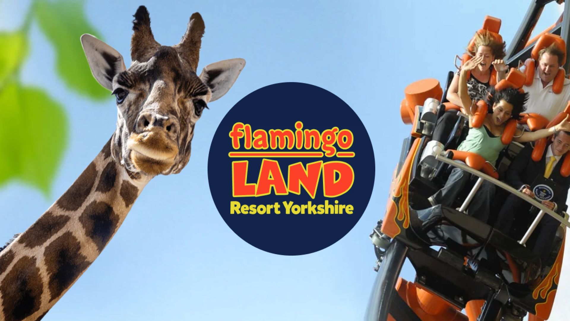 Flamingo Land Day Out
