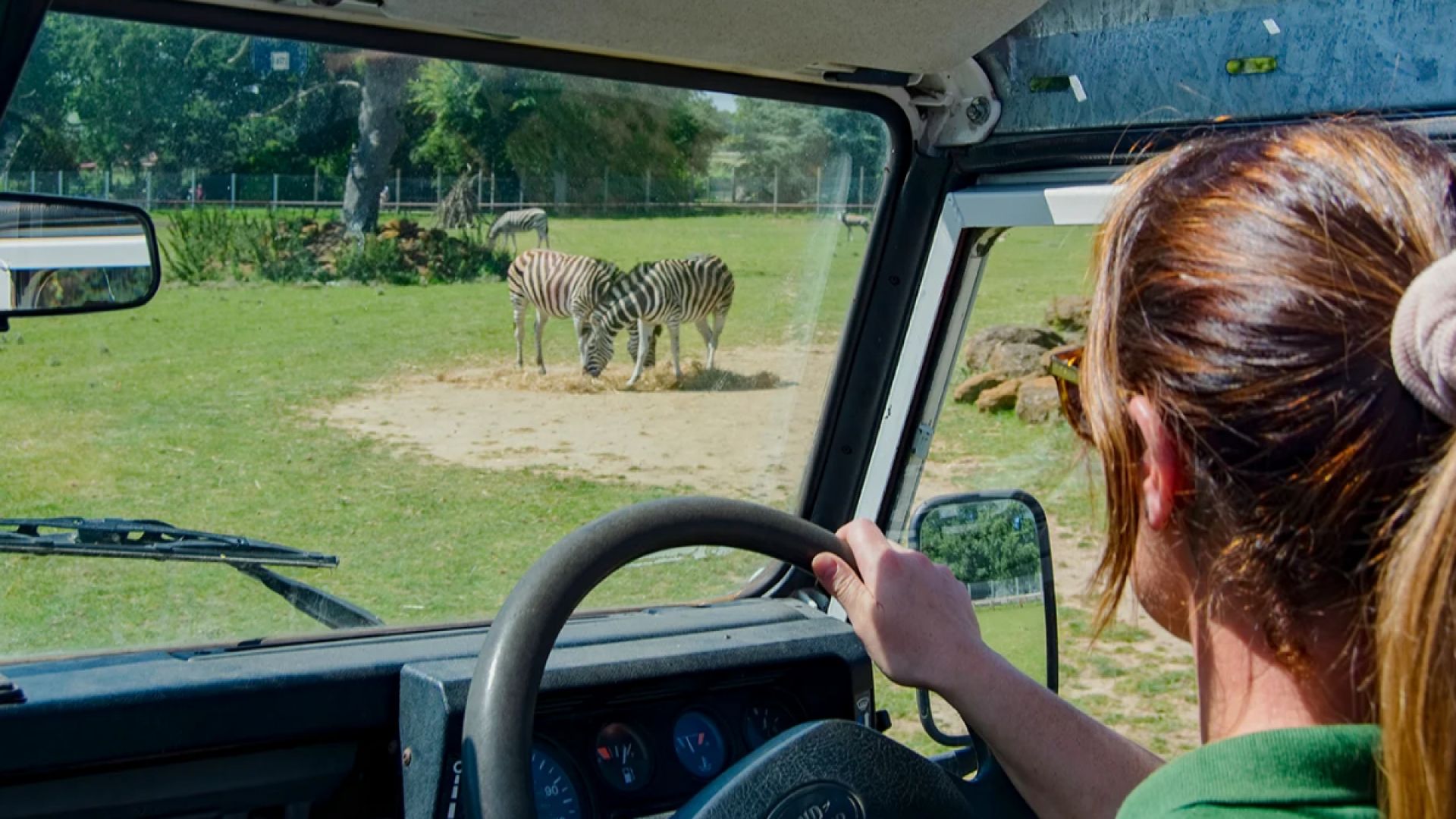Africa Alive car ride