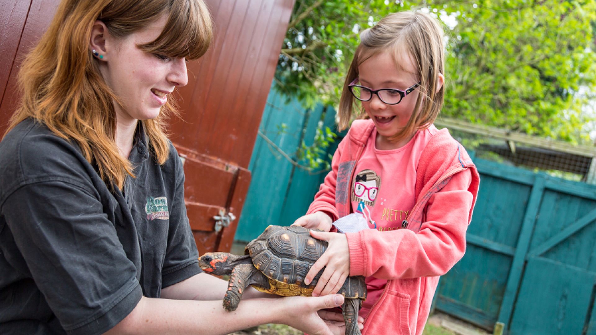 Hoo Zoo and Dinosaur World petting zoo