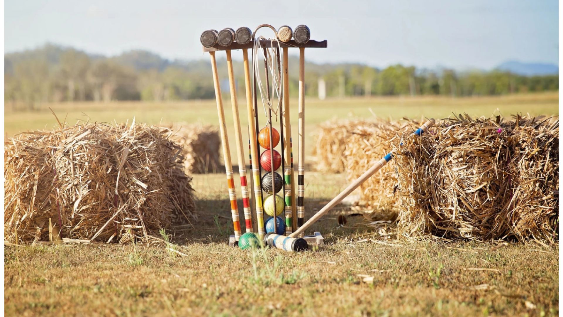 South Downs Food Festival - Stansted Park