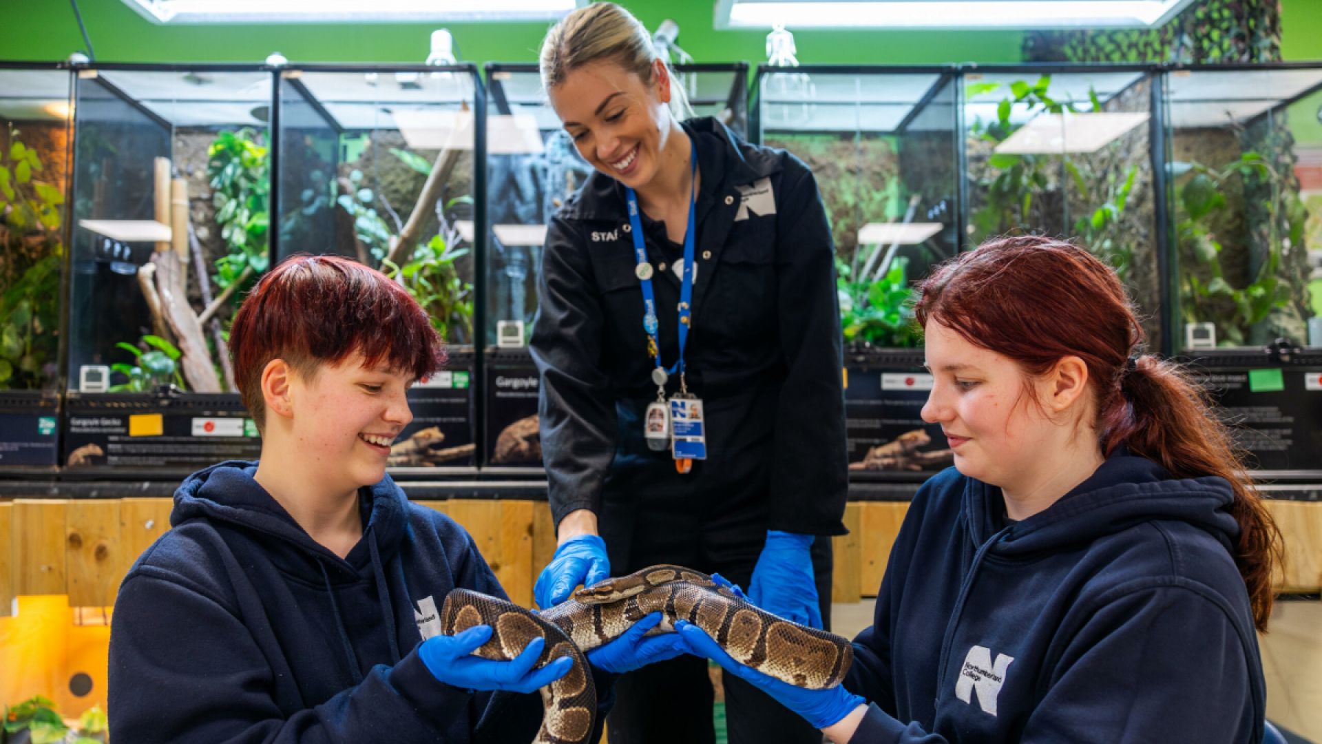 Northumberland College Zoo - Snake Show