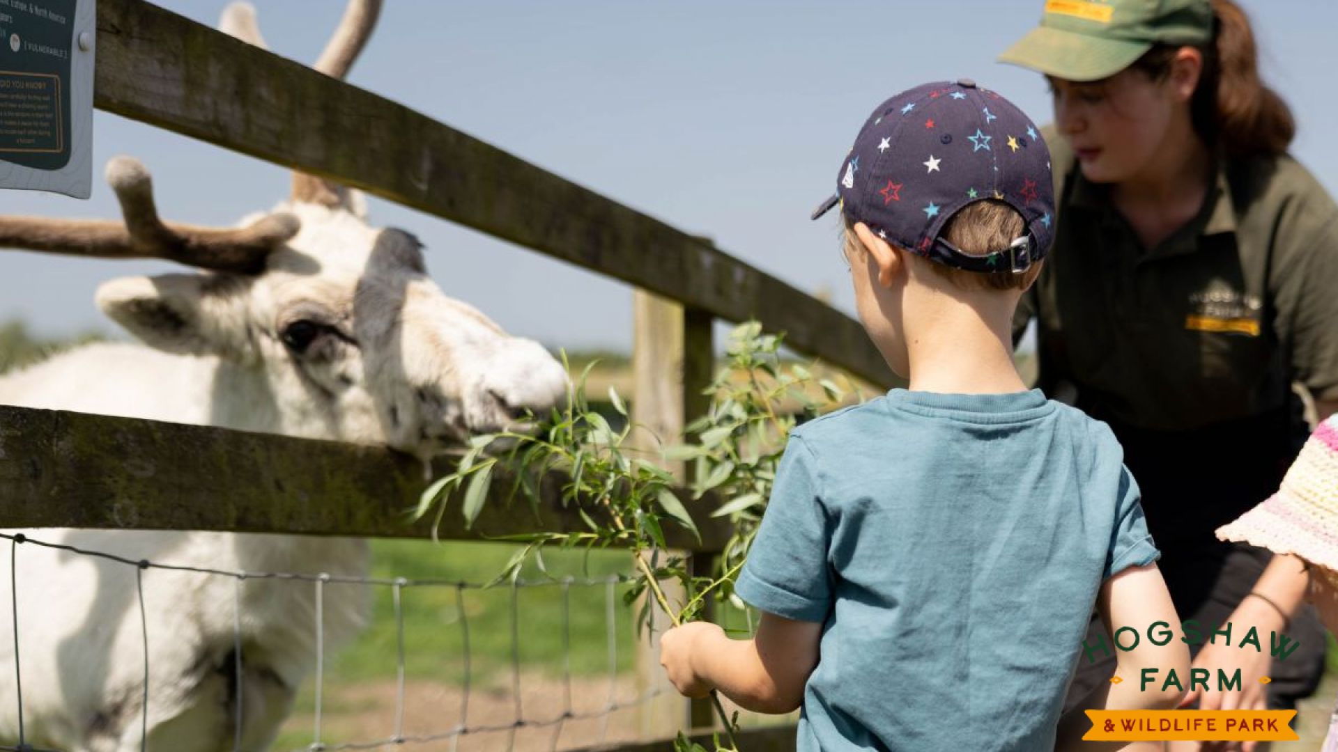 Adventure play at Hogshaw Farm and Wildlife Park