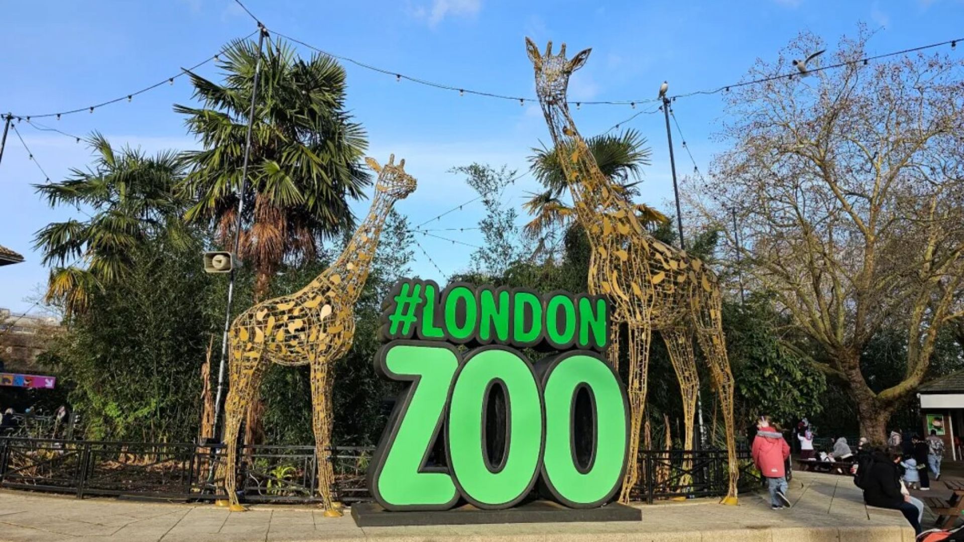 London Zoo