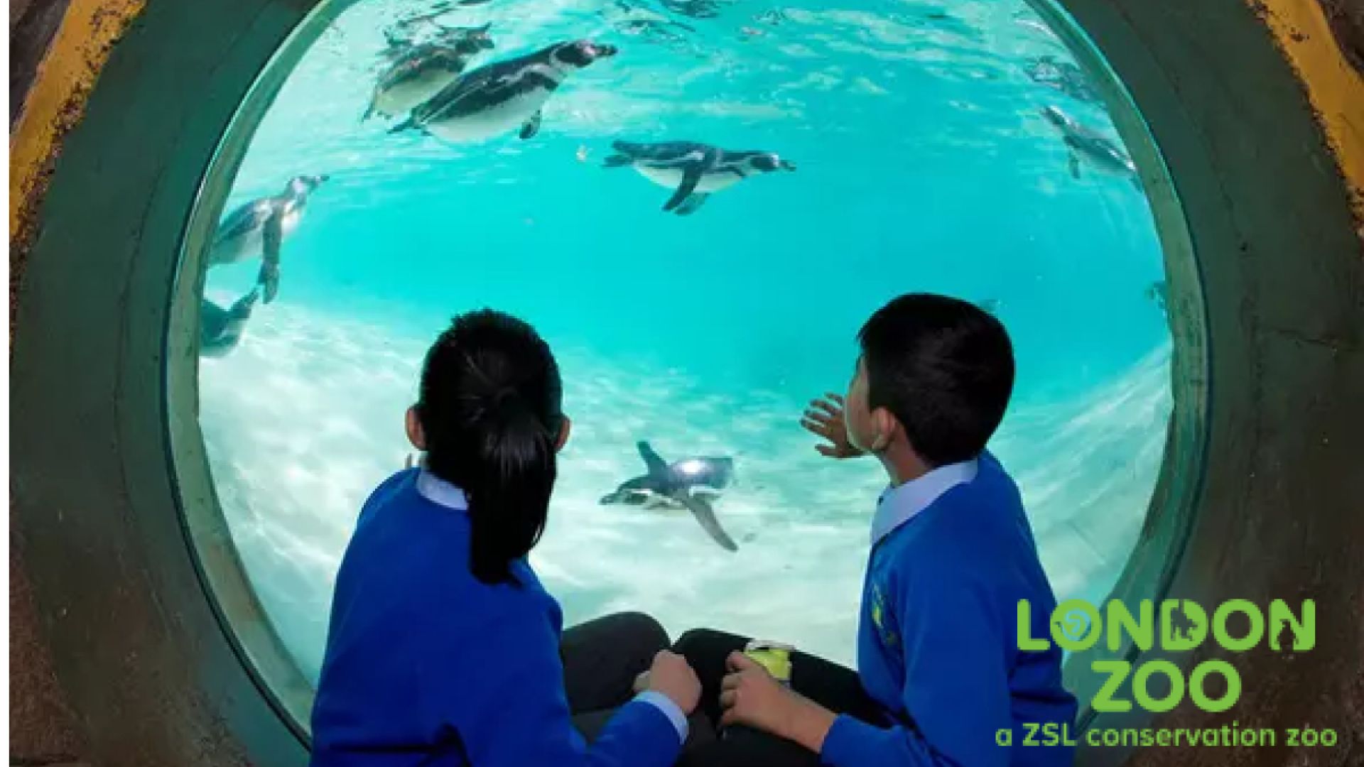 London Zoo