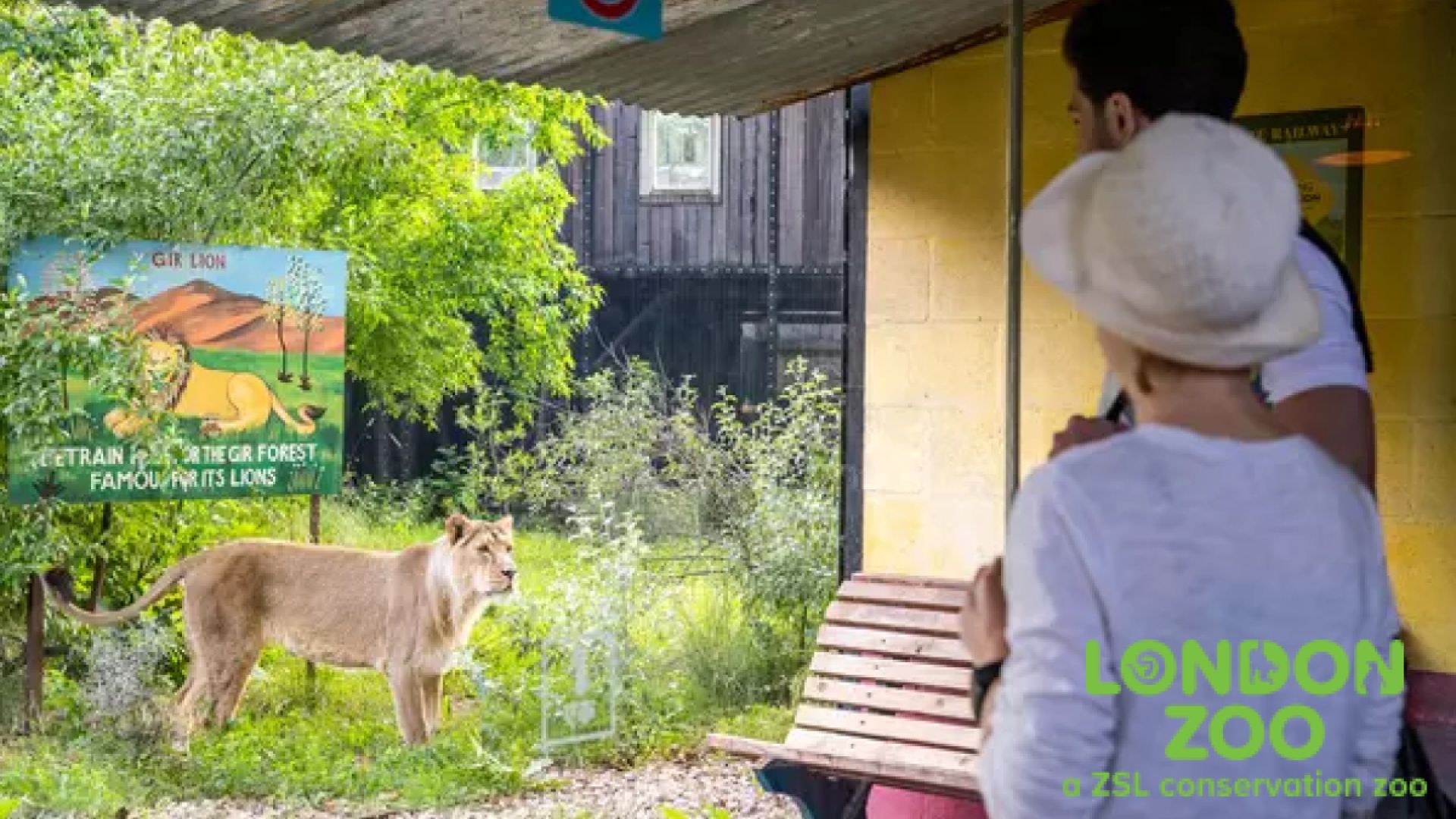 London Zoo