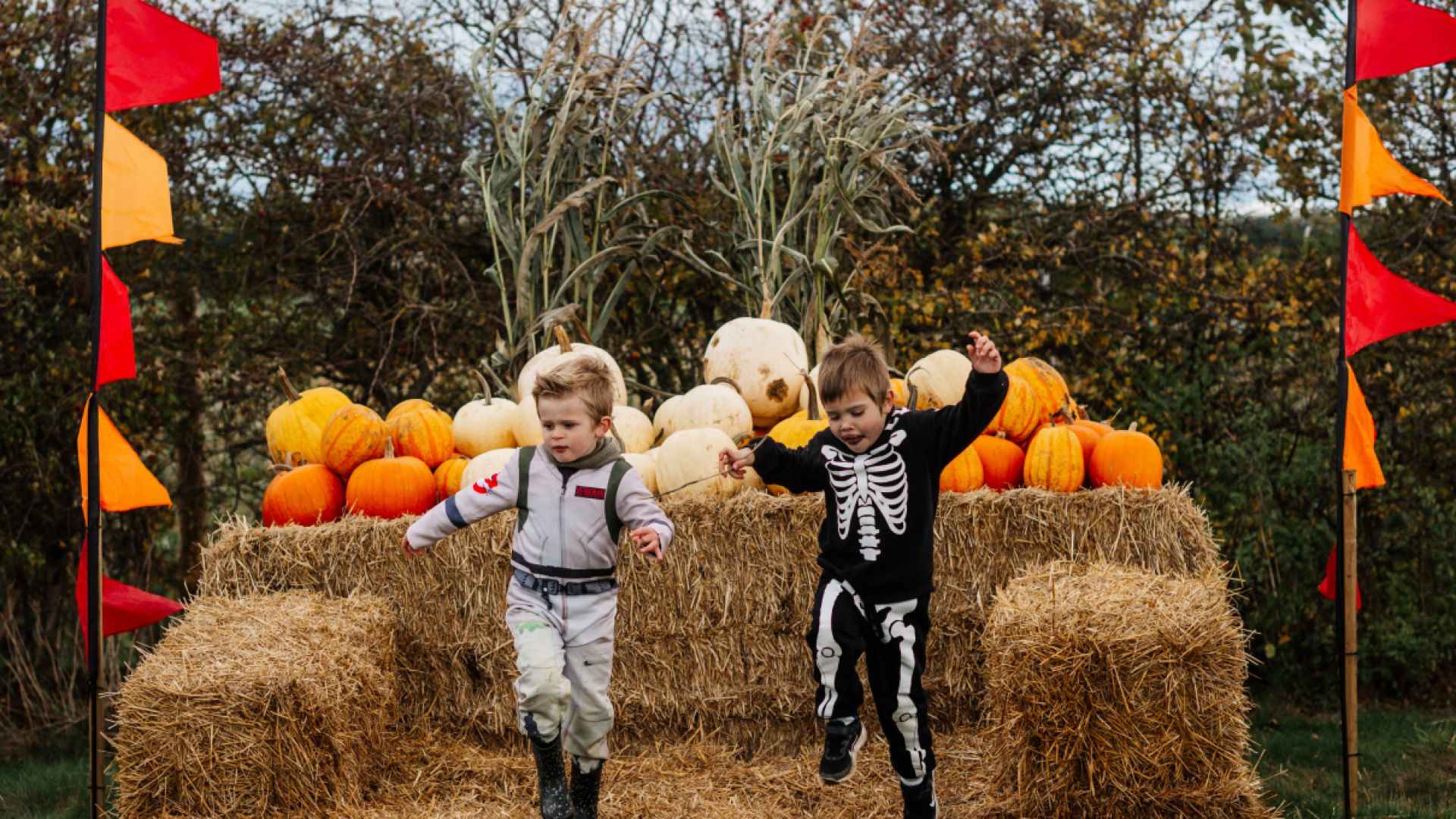 William's Den - Trick or Treat Street