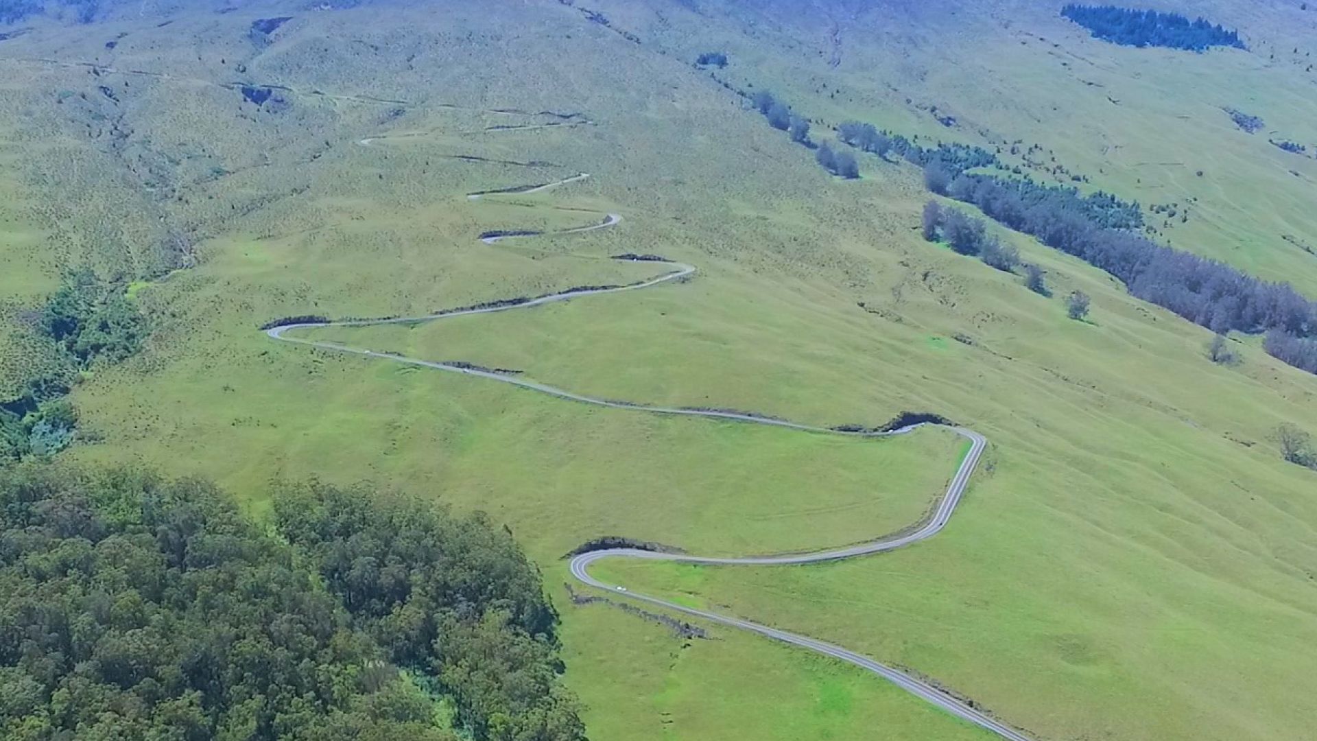 Haleakala Downhill Self-Guided Bike Tour