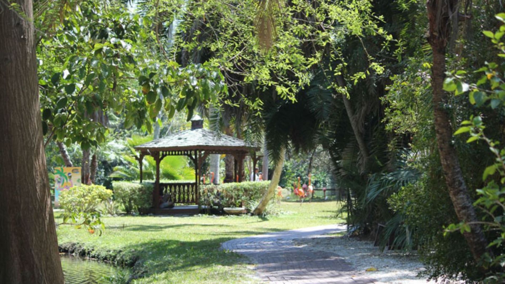 General Admission to Sarasota Jungle Gardens