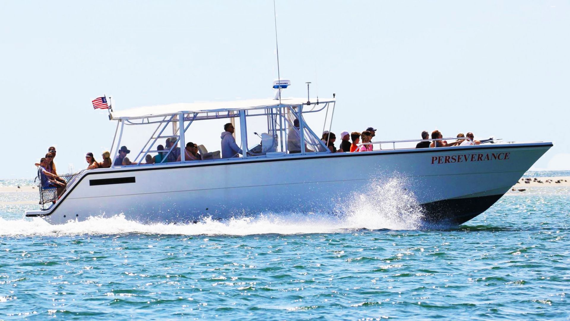 Seal Tour