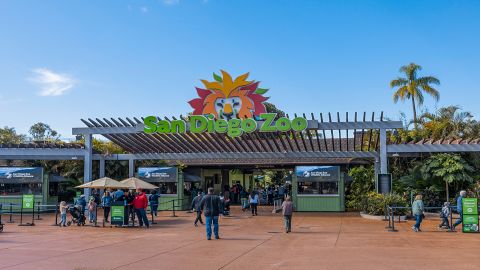 San Diego Zoo & Safari Park 2-Visit Pass