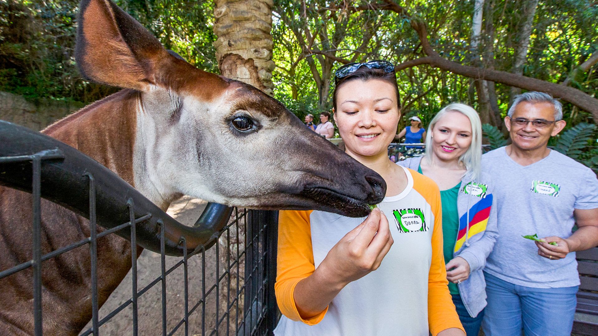 San Diego Zoo 1-Day Pass