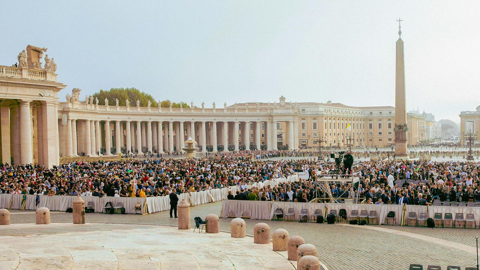 Papal Audience Viewing+ Basilica English Guided Tour