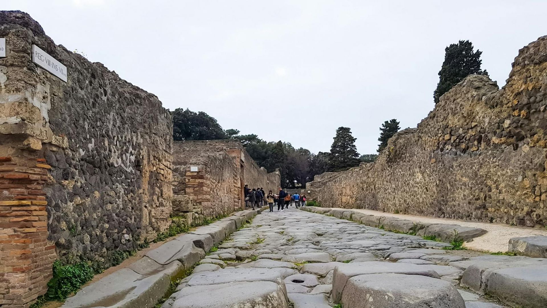 Semi-Private Group Tour + Lunch
