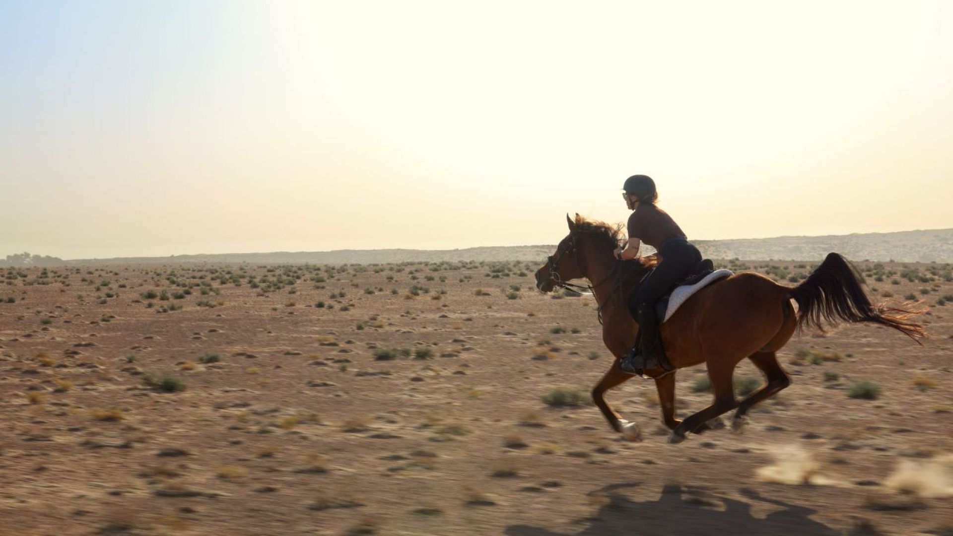 Al Maha - Desert Horseback Ride Experience
