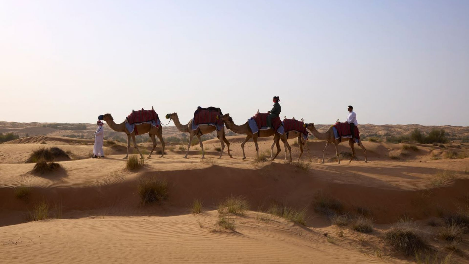 Al Maha - Desert Adventure with Camel Trek, Lunch & Sunset Sundowner