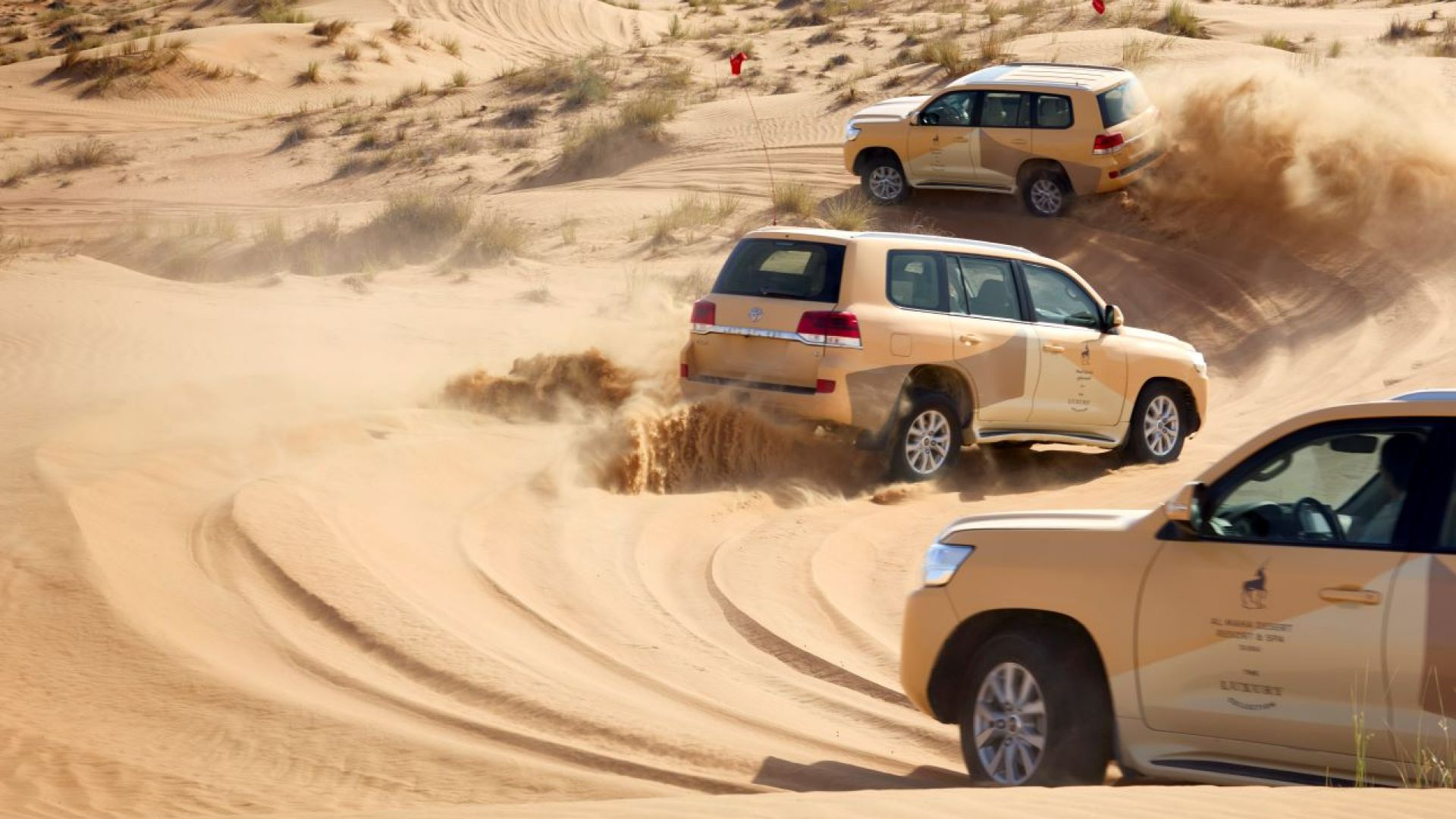 Al Maha - Desert Adventure with Camel Trek, Lunch & Sunset Sundowner