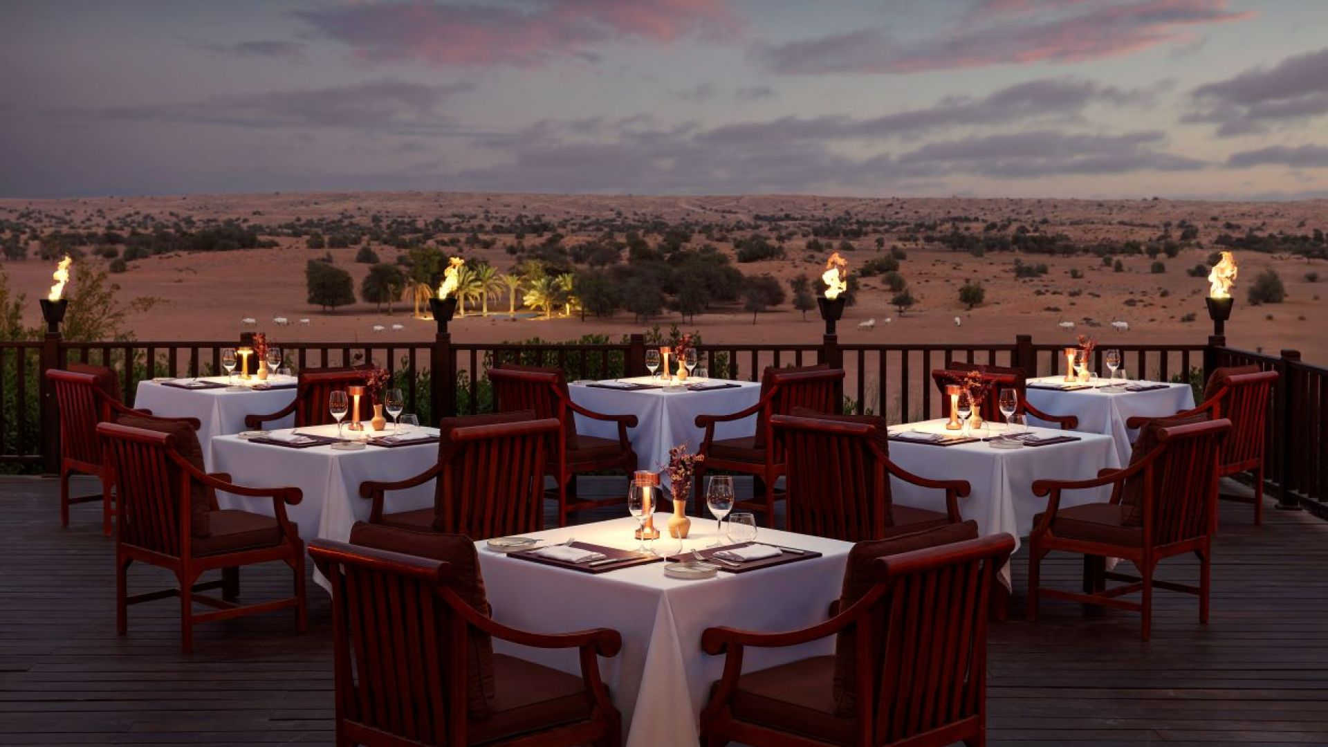 Al Maha - Desert Adventure with Camel Trek, Lunch & Sunset Sundowner