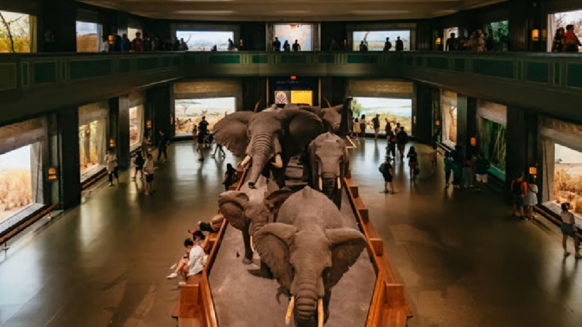 American Museum of Natural History Ticket