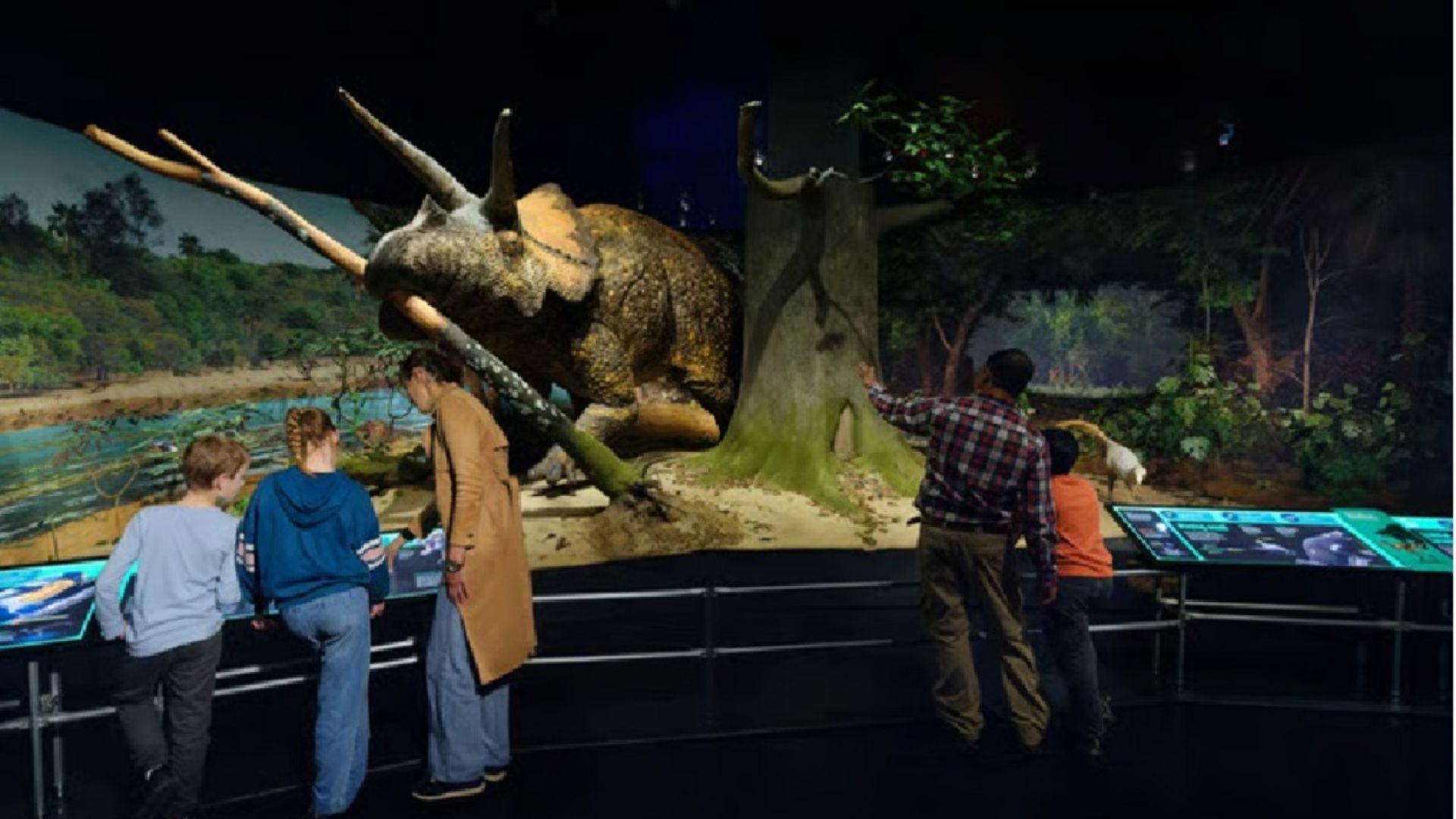 American Museum of Natural History Ticket