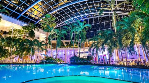 Privat Transfer and Full Access All Day at Therme Spa Bucharest