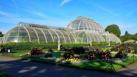 Kew Gardens