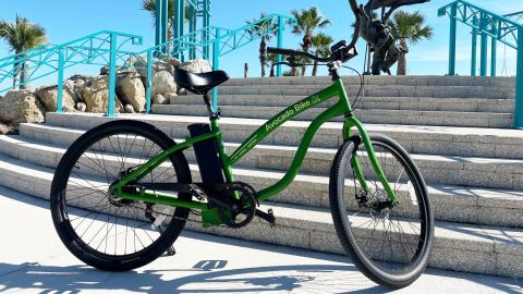 Avocado Bikes at Daytona Beach