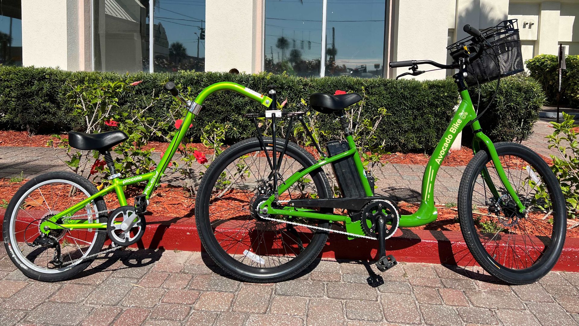 Avocado Bikes at Daytona Beach