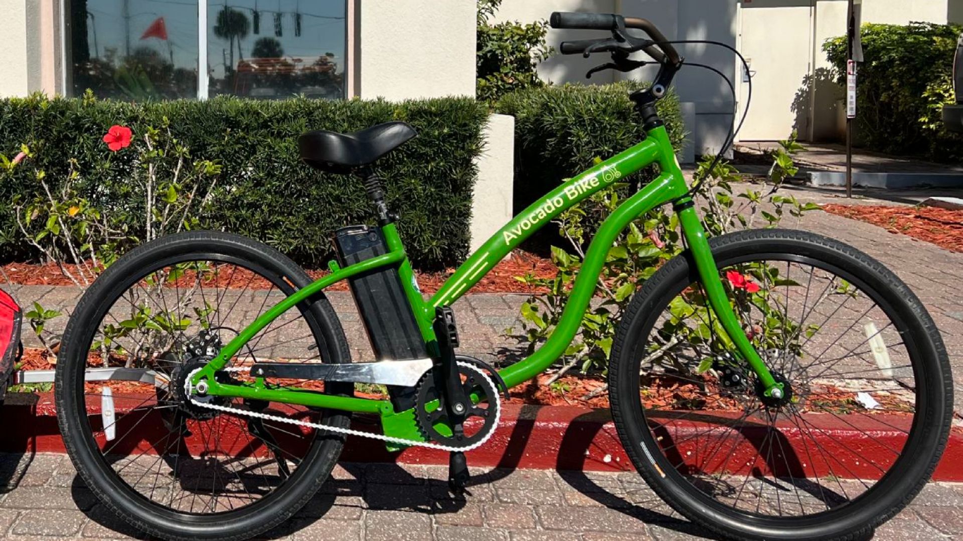 Avocado Bikes at Daytona Beach