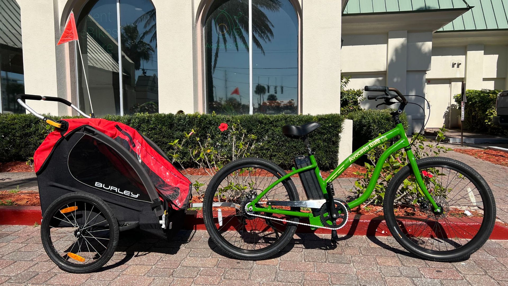 Avocado Bikes at Daytona Beach