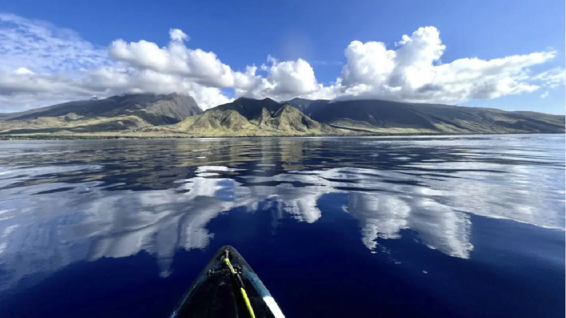Turtle Town Coastal Expedition: Kayak & Turtles