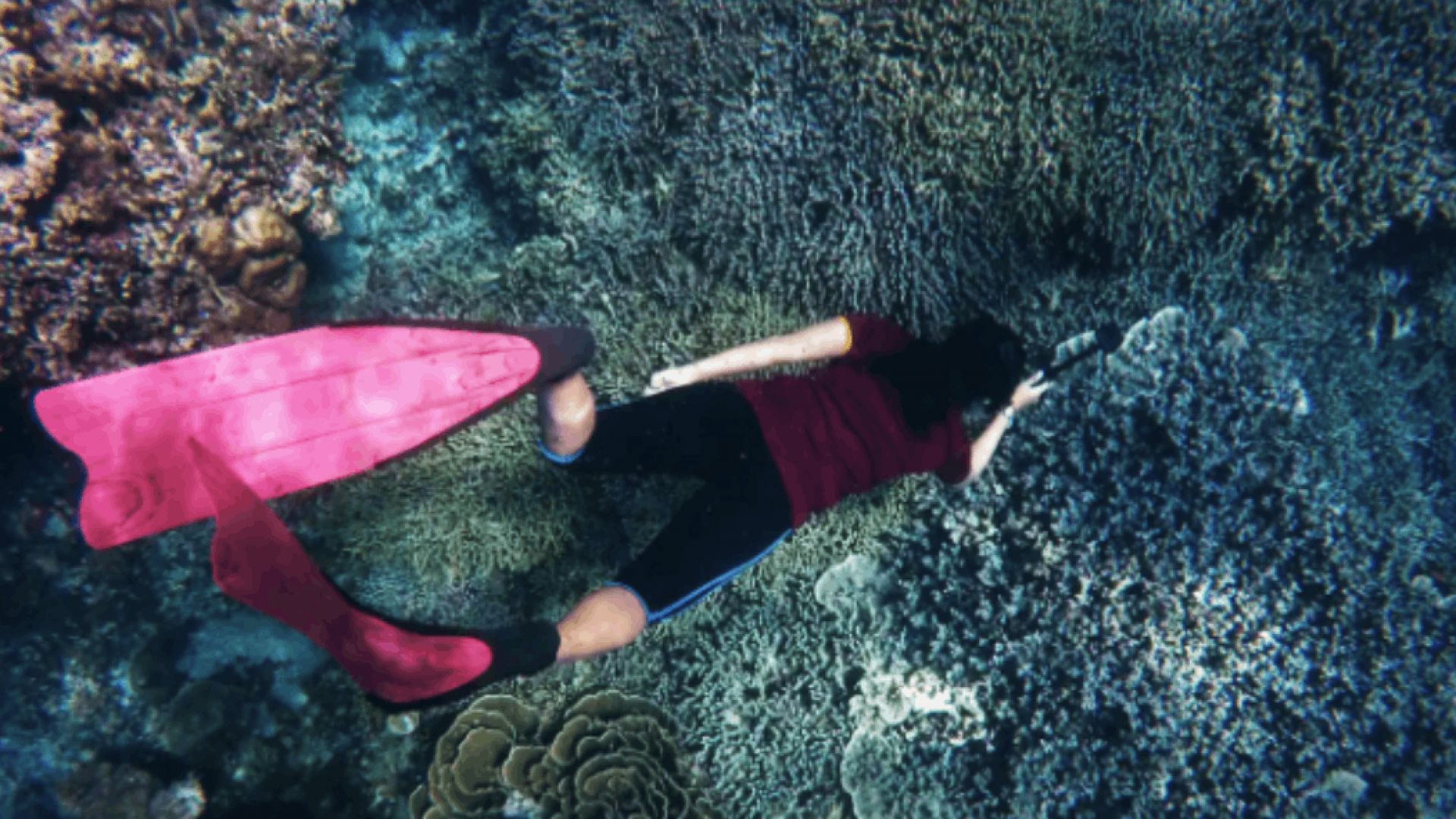 Turtle Town After Dark: Night Snorkel
