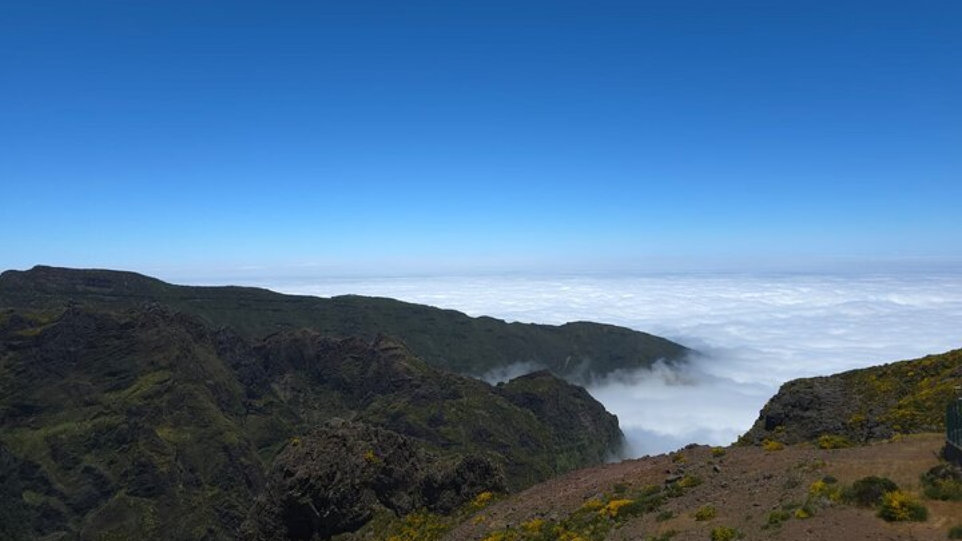 Madeira East Island Tour with Rum Tasting