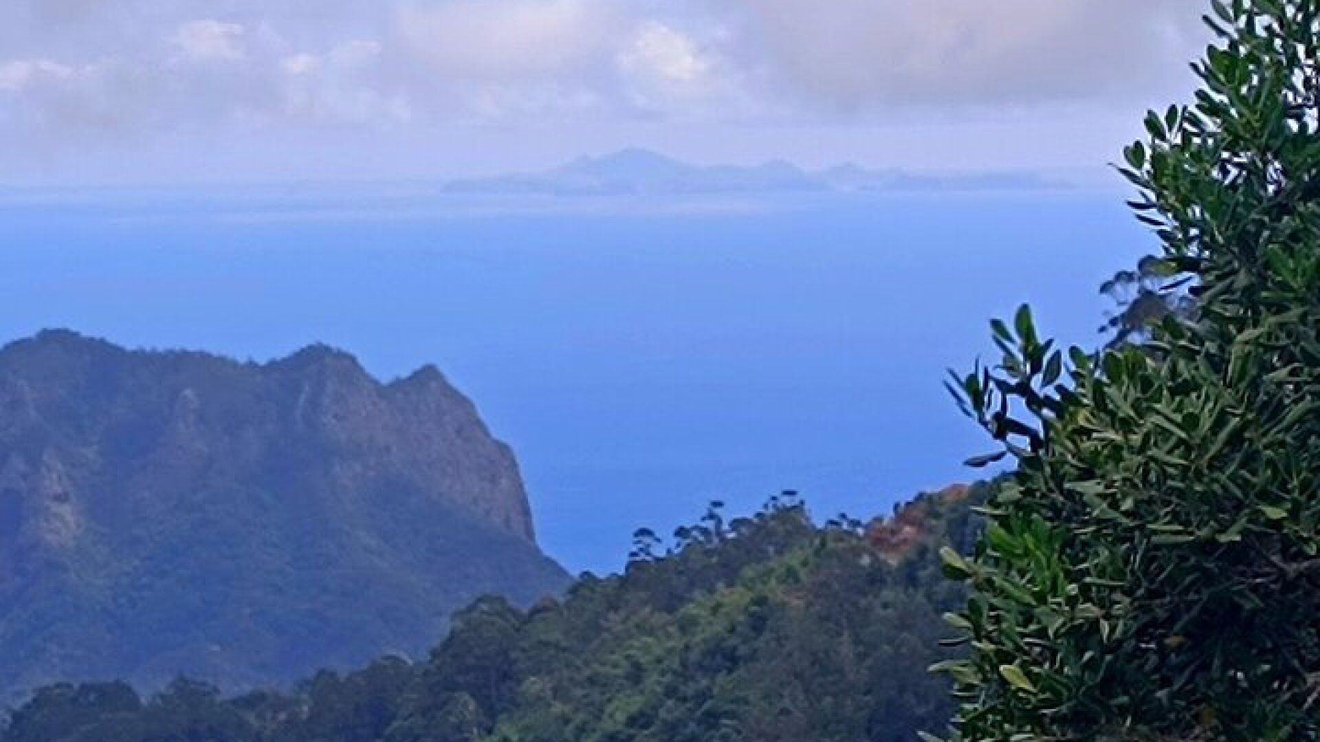 Madeira East Island Tour with Levada Walk and Lunch