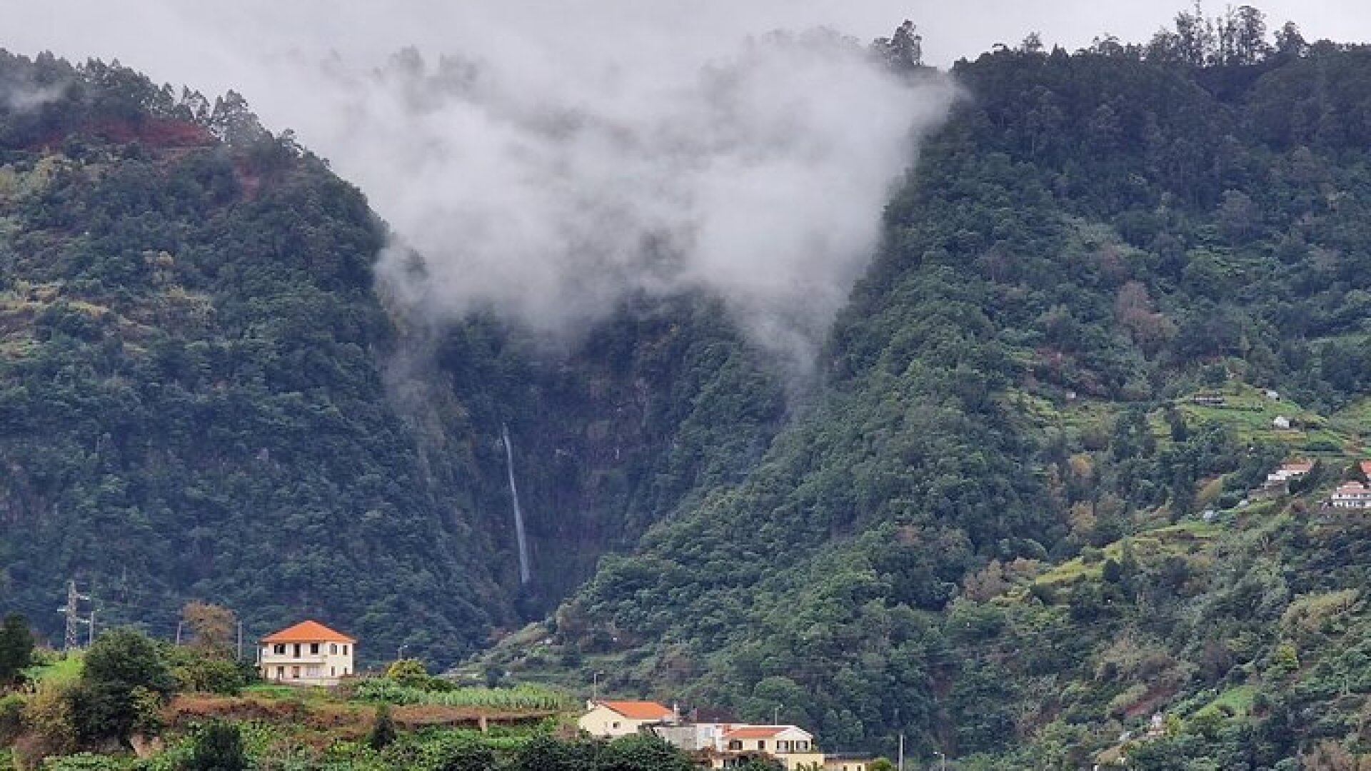 Madeira East Island Tour with Levada Walk and Lunch