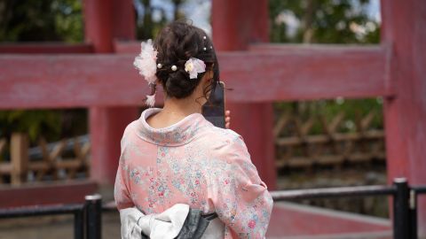 Full-Day Kyoto Bus Tour: Nijo Castle, Arashiyama & Fushimi Inari without tickets 7:30am