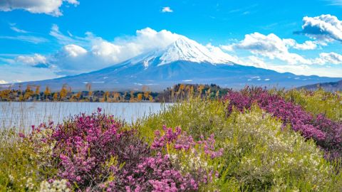 Mount Fuji, Kamakura, Lake Ashi & Big Buddha