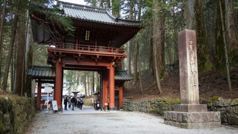 From Tokyo: Nikko the Beauty of Kegon Waterfall & Chuzenji Lake
