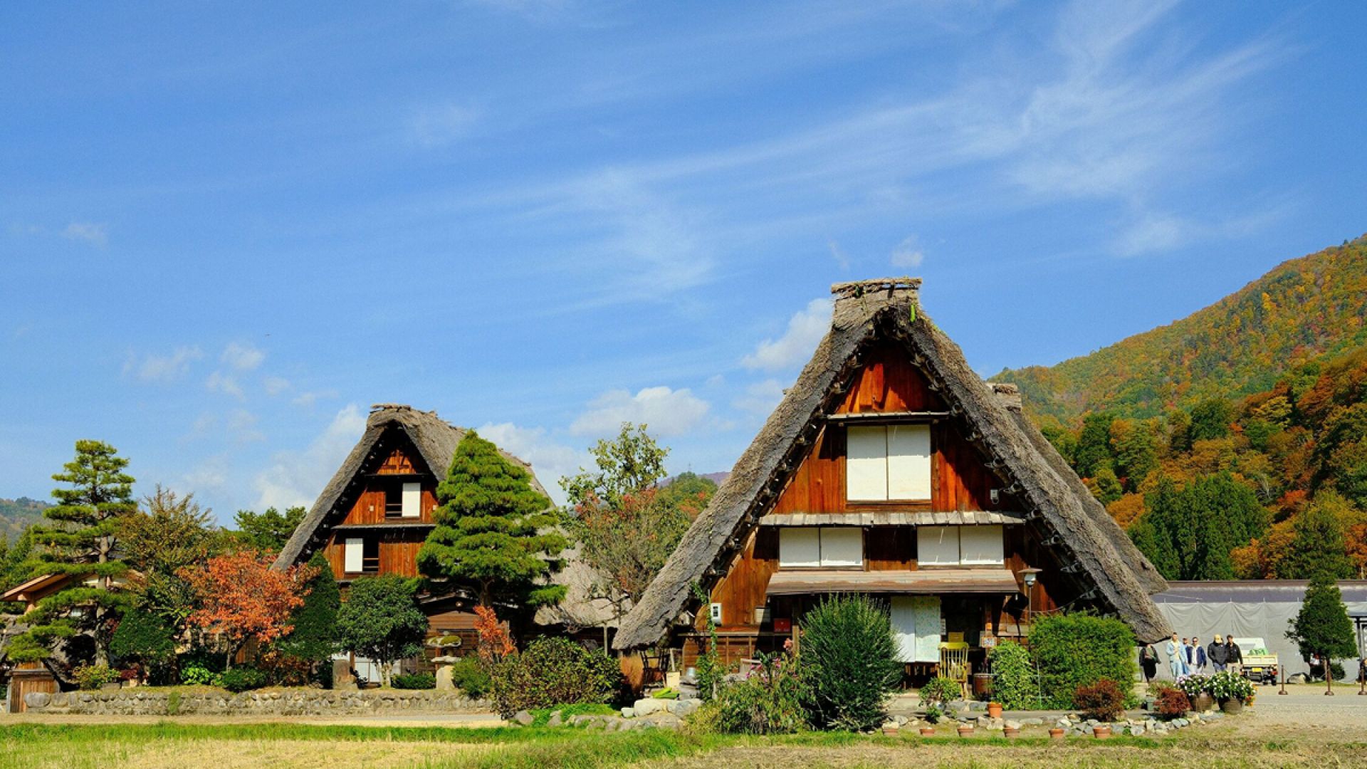 Shirakawago and Kanazawa from Kanazawa - Shared Tour