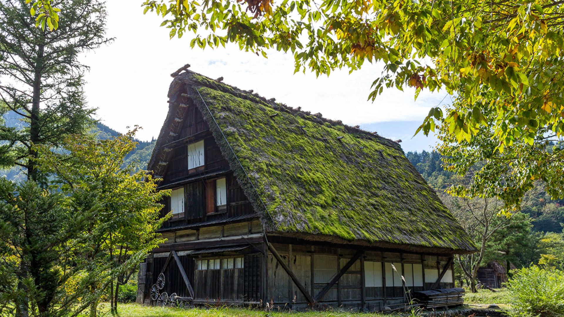 Shirakawago and Kanazawa from Kanazawa - Shared Tour